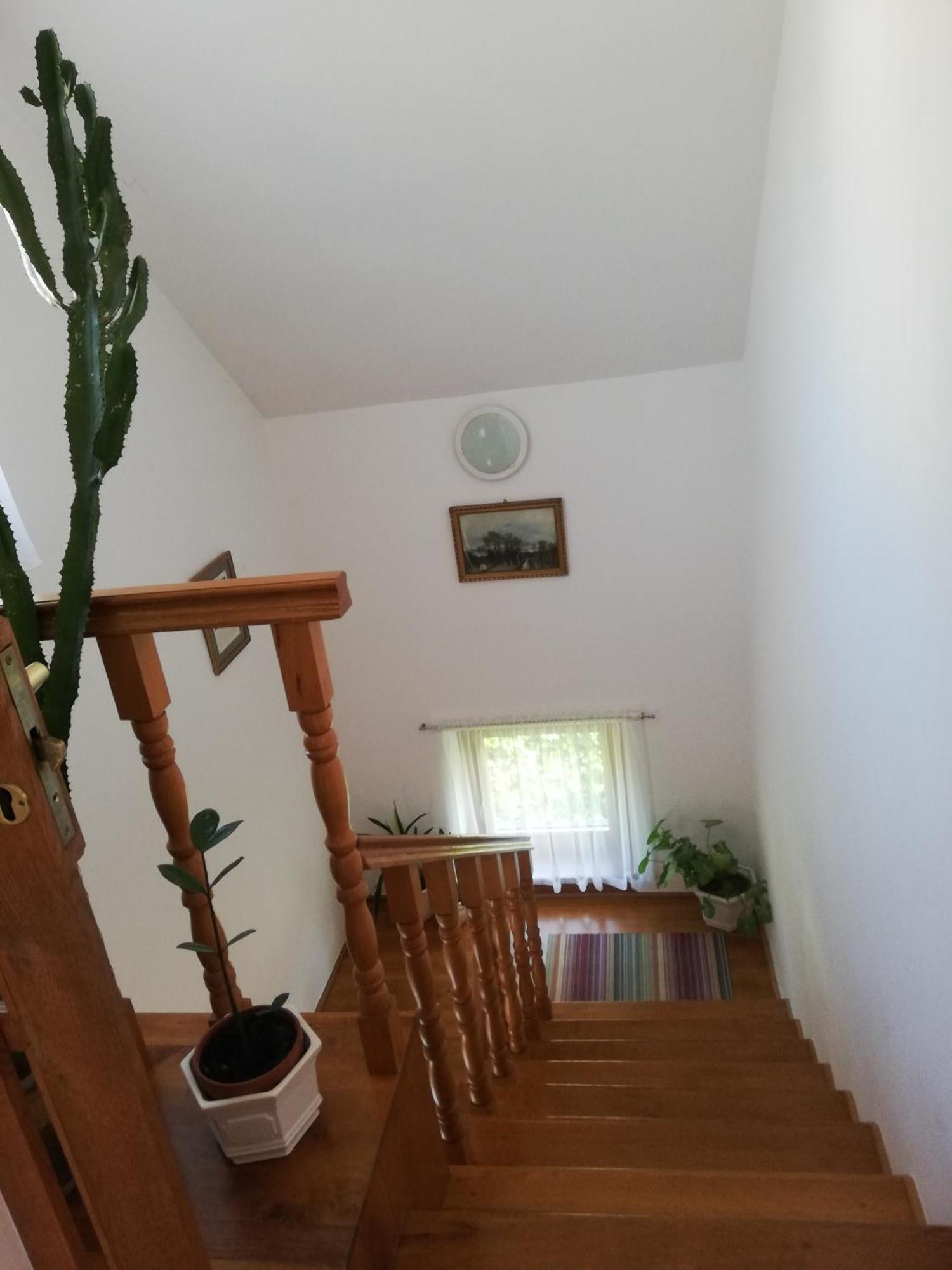 Viragos Vendeghaz Balatonfuered Appartement Buitenkant foto